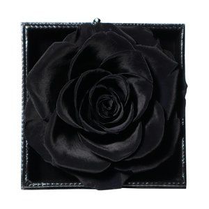 BLACK Preserved Real Rose - Perfect for Gifts - Will Last From 3-5 Years